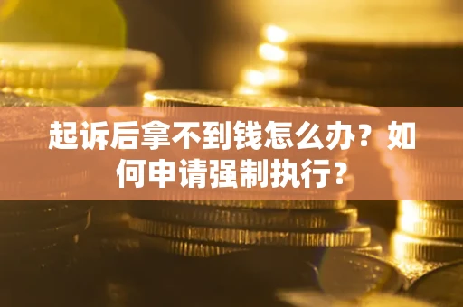 武汉起诉后拿不到钱怎么办？如何申请强制执行？
