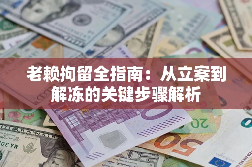 武汉老赖拘留全指南：从立案到解冻的关键步骤解析