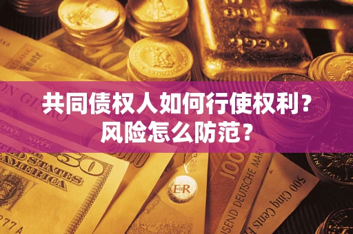 武汉共同债权人如何行使权利？风险怎么防范？