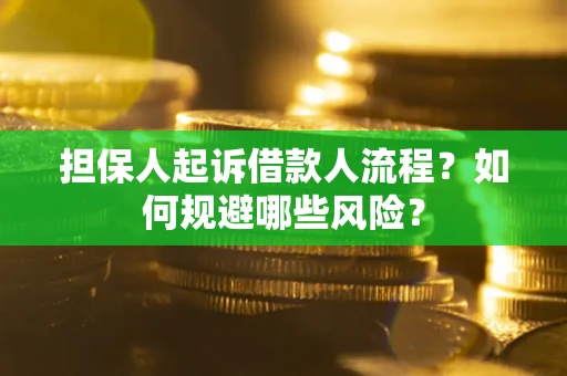 武汉担保人起诉借款人流程？如何规避哪些风险？