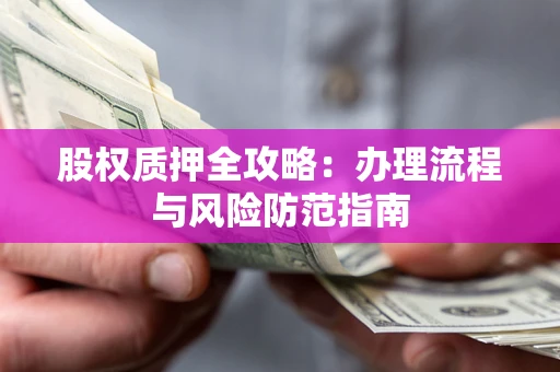 武汉股权质押全攻略：办理流程与风险防范指南